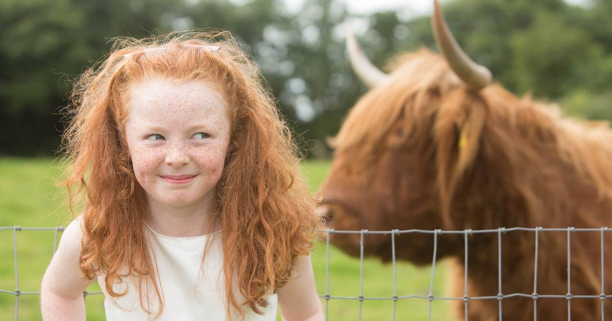 Redhead festival hopes to thousands to Co Cork The Irish Times