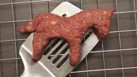 FSAI launches new horse meat tests  as part of EU-wide strategy