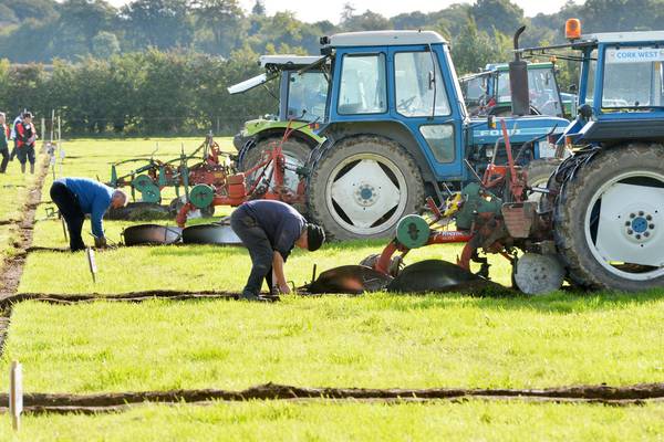 Ploughing Championships: Everything you need to know