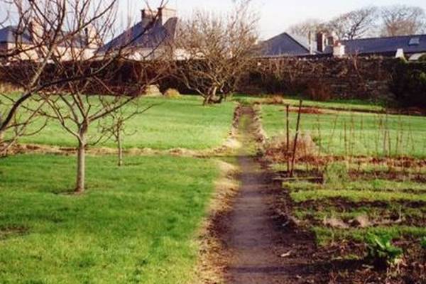 Historic Westport garden sold to private bidder for €500,000