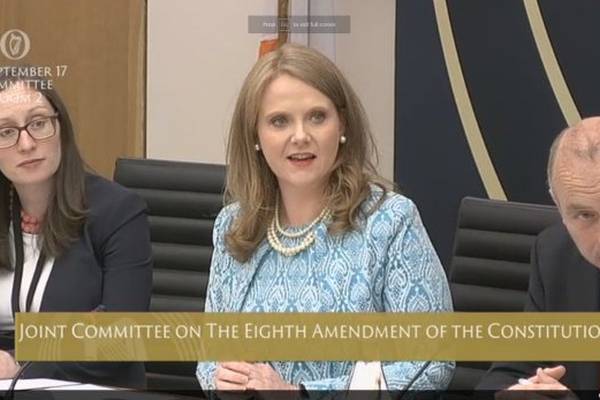 Abortion committee chair says it would be ‘prudent’ to propose referendum that will pass