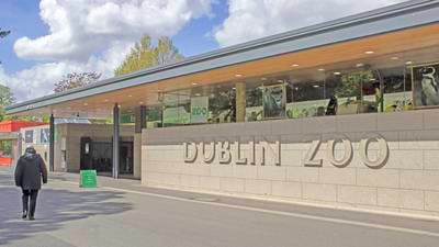 Dublin Zoo and Fota Island firm posts operating surplus in excess of €1m