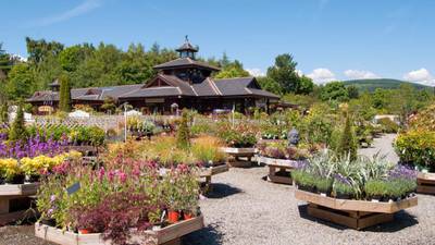 Opportunity for growth in garden centre