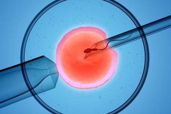 Publicly funded and legally regulated fertility treatment is ‘critical’