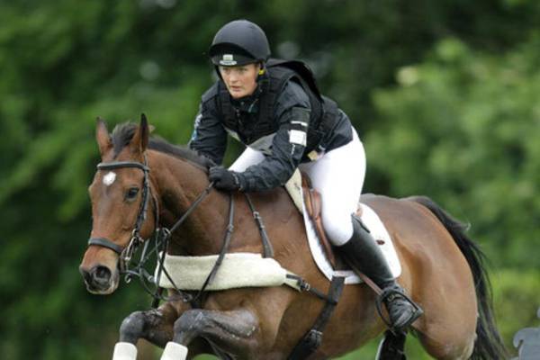 Irish Sport Horse Studbook lead breed society competition