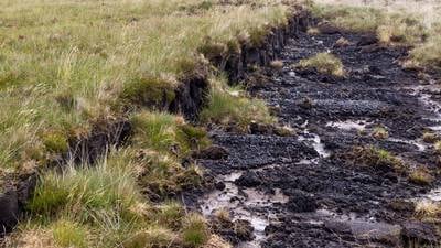 Ireland will take bog conservation ‘massively seriously’, says McConalogue