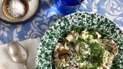 Discover the magic of mushrooms in this comforting pasta dish