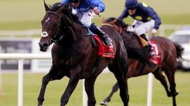 The Curragh announce increase in Irish Derby prize money