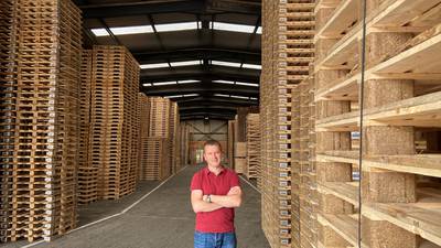 Pallet manufacturer looks to imports as timber crisis takes root