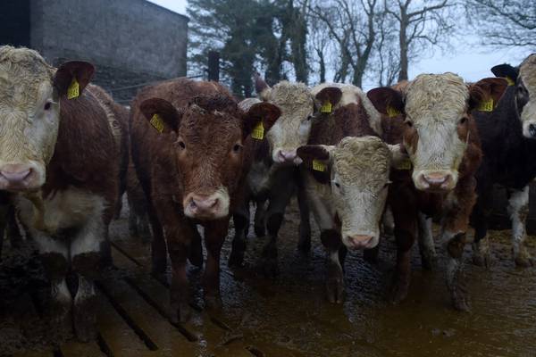 Third of Irish farms under threat from Brexit, Apple court case, and RTE cuts