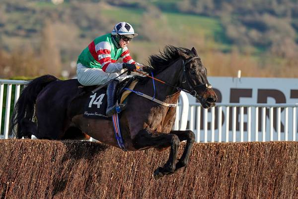 Connections ponder plans for Chatham Street Lad after Cheltenham rout