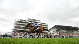 St Nicholas Abbey suffers career-ending injury