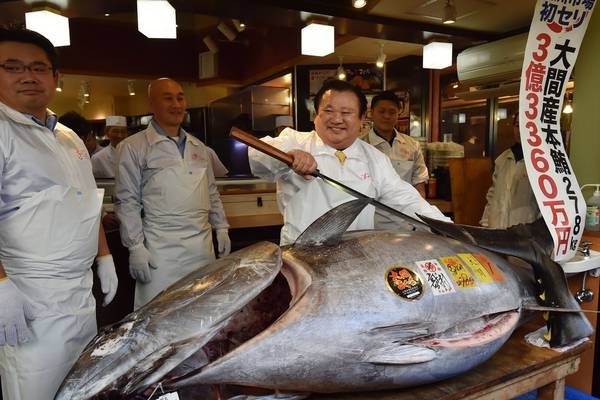Bluefin tuna sells for €2.7m at Japanese market