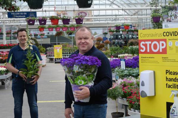 ‘It’s been a struggle’: Garden centres hoping to turn the Covid-19 corner