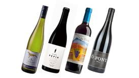 Wines from small producers for about €20 