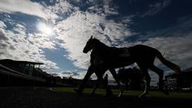 Committee hearing on horseracing regulator adjourns unexpectedly due to legal advice