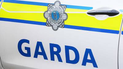 Gardaí smashed car window to pepper spray driver, court hears