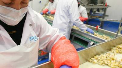 Seafood processor Errigal Bay returns to profit