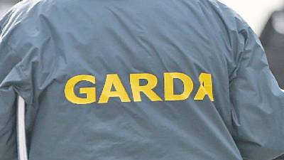 Man remanded on bail over €90,000 drugs seizure in Co Cork