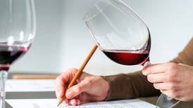 Six benchmark wine types to improve your palate