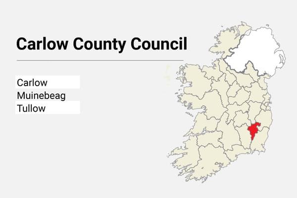 Local Elections: Carlow County Council candidate list