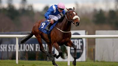 Forgotten Rules expected to  maintain his unbeaten record