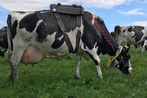 Ireland’s agriculture emissions are hurtling in the wrong direction