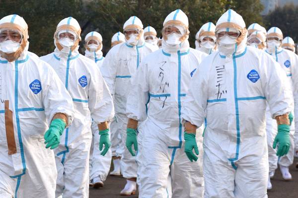 Severe bird flu outbreak confirmed in western France