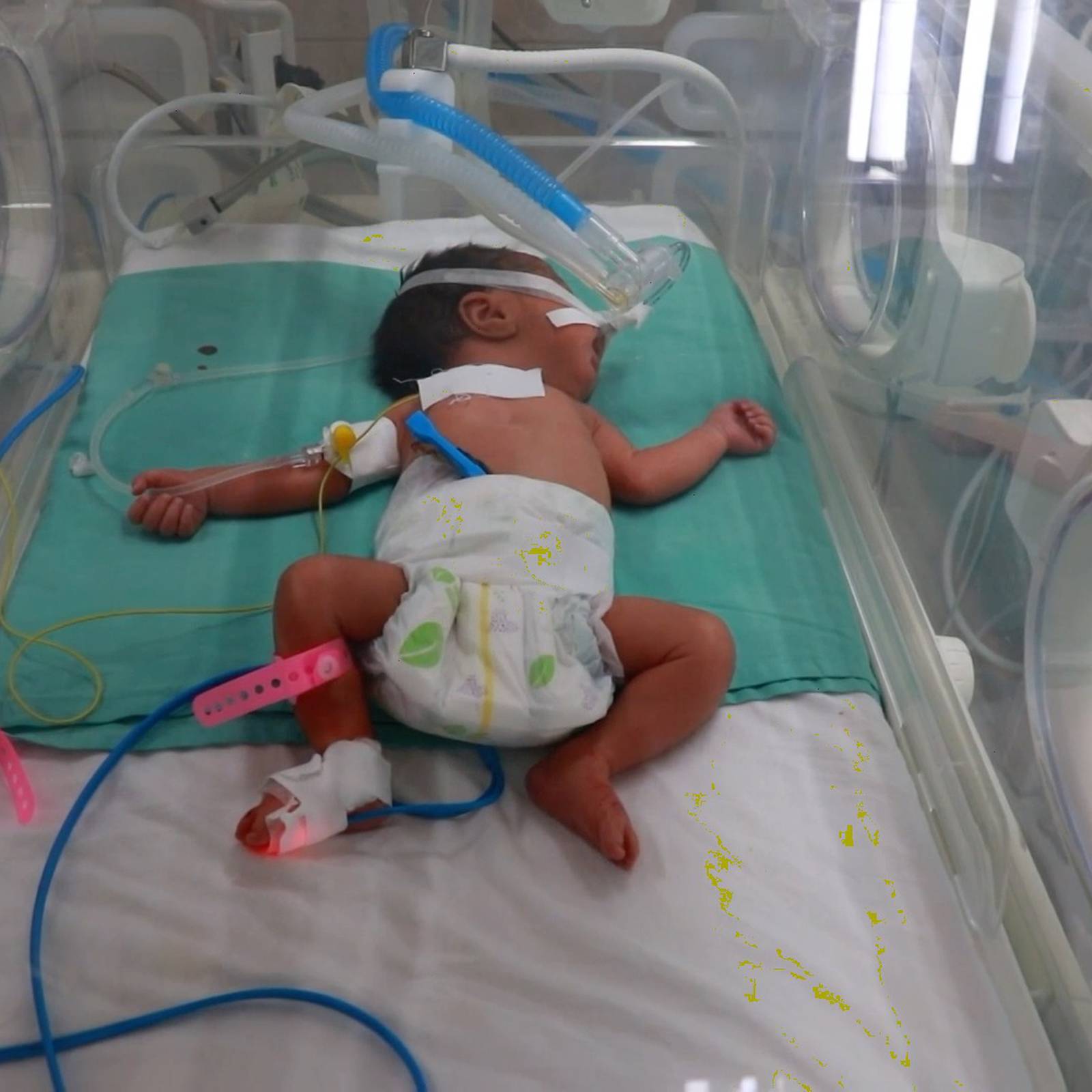 No incubators, medicine or milk: Gaza's premature babies are 'slowly being  killed