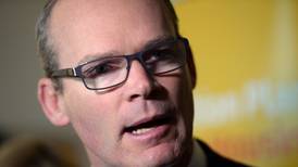 Joint property and water charge idea is ‘madness’, says Coveney