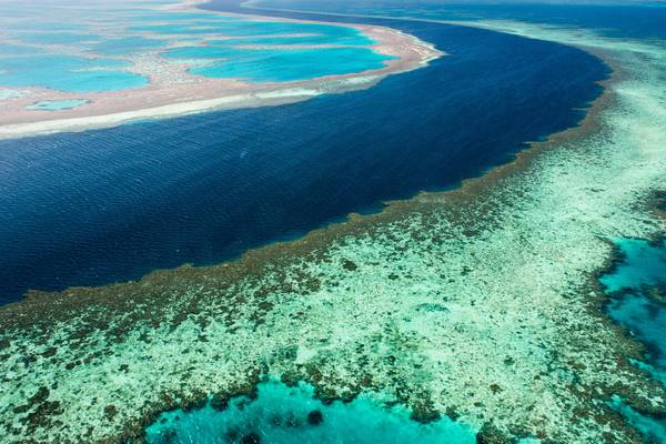 Scientists discover reef taller than Empire State Building at Great Barrier Reef