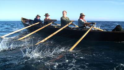 ‘Having Glen Hansard at sea was like bringing Shergar to plough a field’