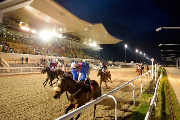 Vast majority of trainers have lost confidence in Dundalk track