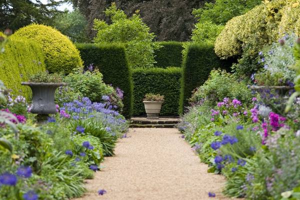 Five classic garden hedges for shelter, privacy and beauty