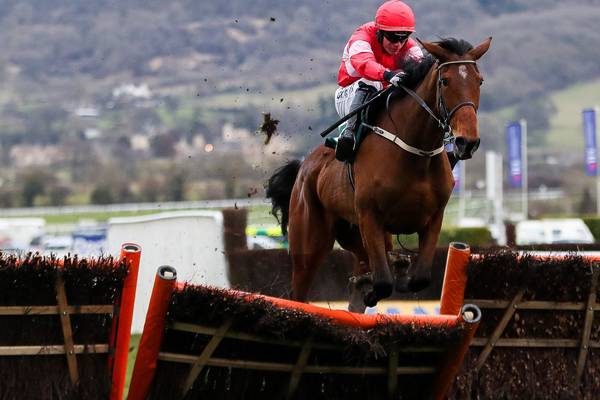 Willie Mullins gives Laurina green light to test Champion credentials at Cheltenham