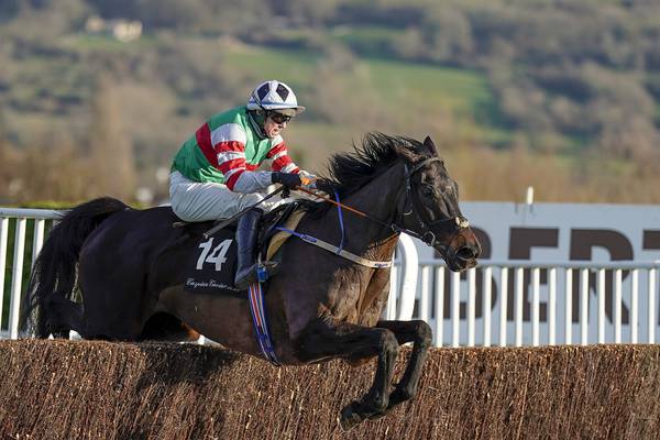 Chatham Street Lad to run again 10 days after Cheltenham