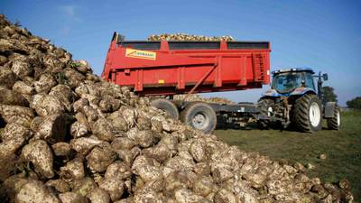 Beet Ireland buys sugar site on Carlow-Kildare border
