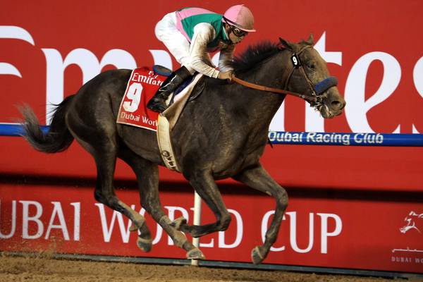 Arrogate to rest before bid to retain Breeders’ Cup Classic