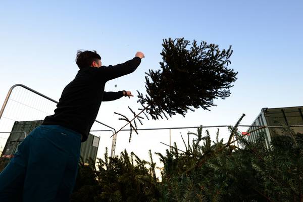 Getting rid of your Christmas tree? Here’s where to go