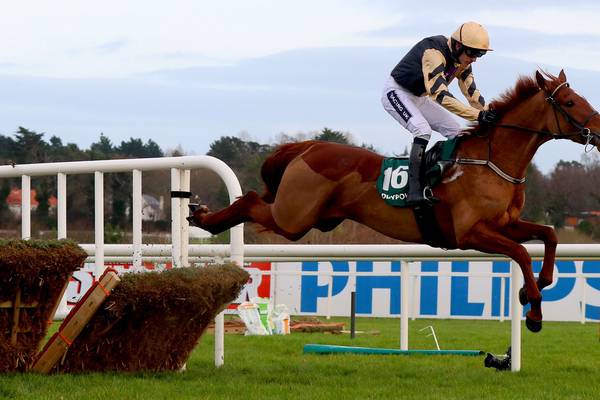 Meri Devie hits form to book her ticket to Cheltenham in style
