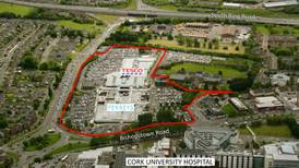 Irish firm to invest in  Cork’s Wilton