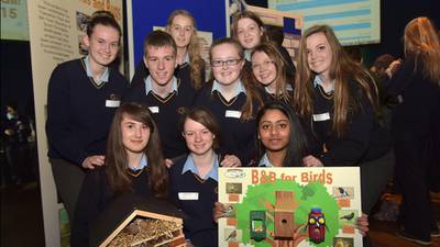 Behind the News: Scoil Chonglais bug hoteliers