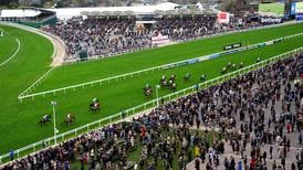 Cheltenham day two crowd continues alarming drop in festival attendances