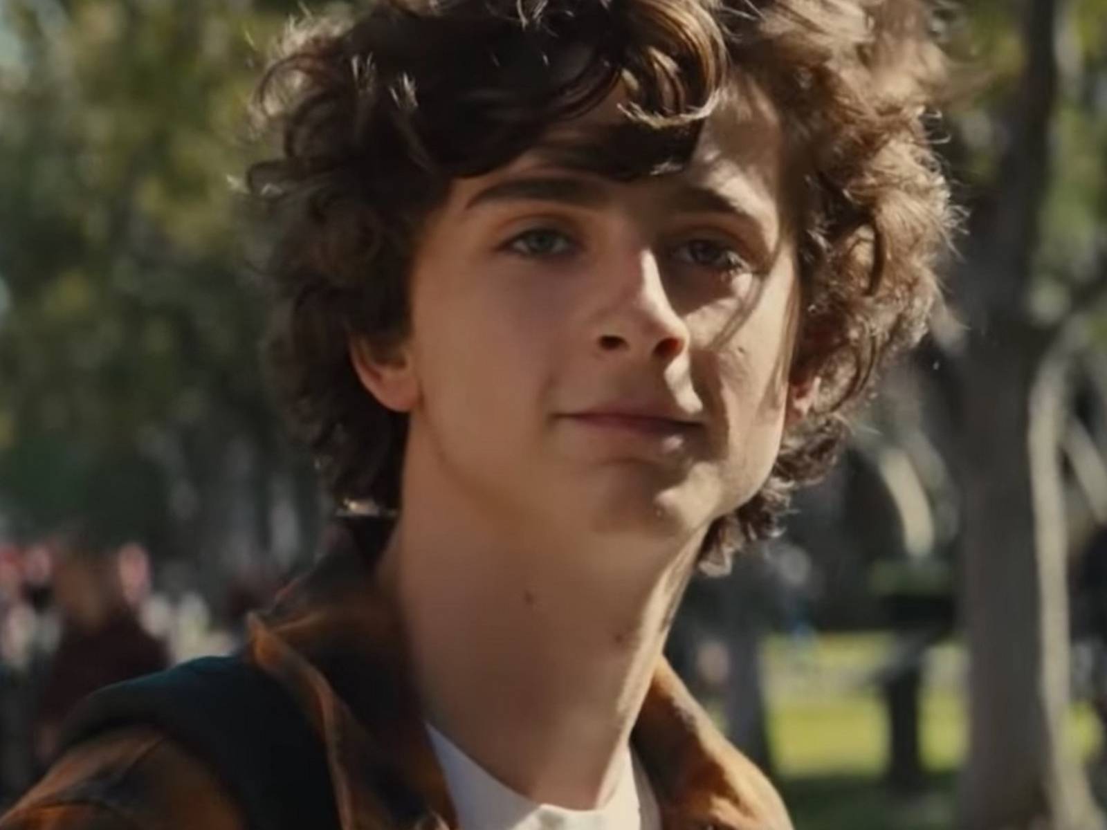 Mad about the Boy: My journey to becoming Timothee Chalamet's