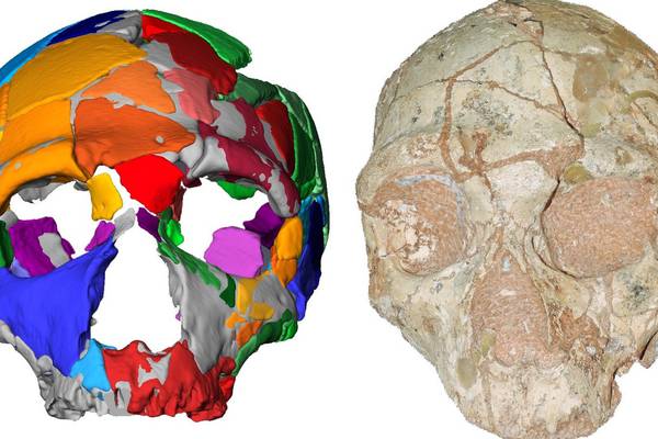 Modern humans reached Europe 210,000 years ago – report