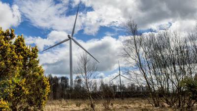 Wind industry issues ‘open invitation’ to   view turbines