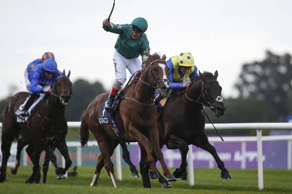 Decorated Knight leads home overseas clean sweep in Irish Champion Stakes