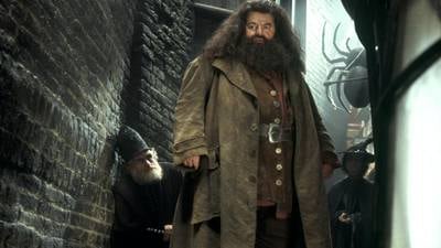 Harry Potter reboot: hate it all you like, it’s going to be bigger than Hagrid