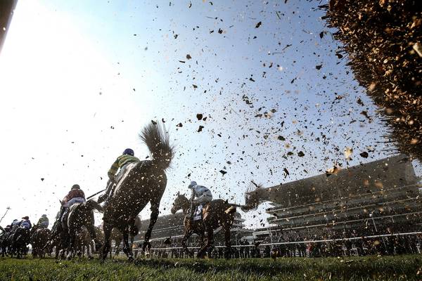 Cheltenham 2017: Straight from the horses’ mouths