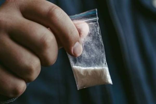 More than half of students surveyed report using an illicit drug